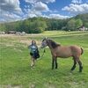 megan_campbell7